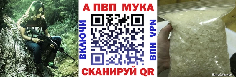 A PVP СК КРИС Билибино